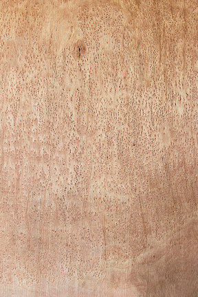 London Plane - Pippy Board