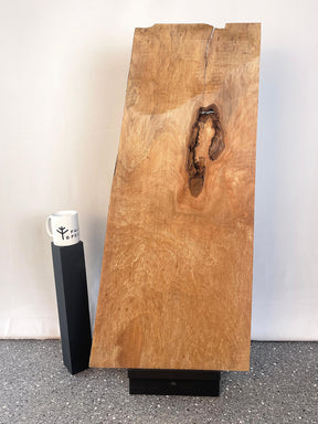 London Plane - Pippy Board