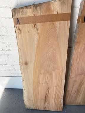 London Plane - Pippy Boards