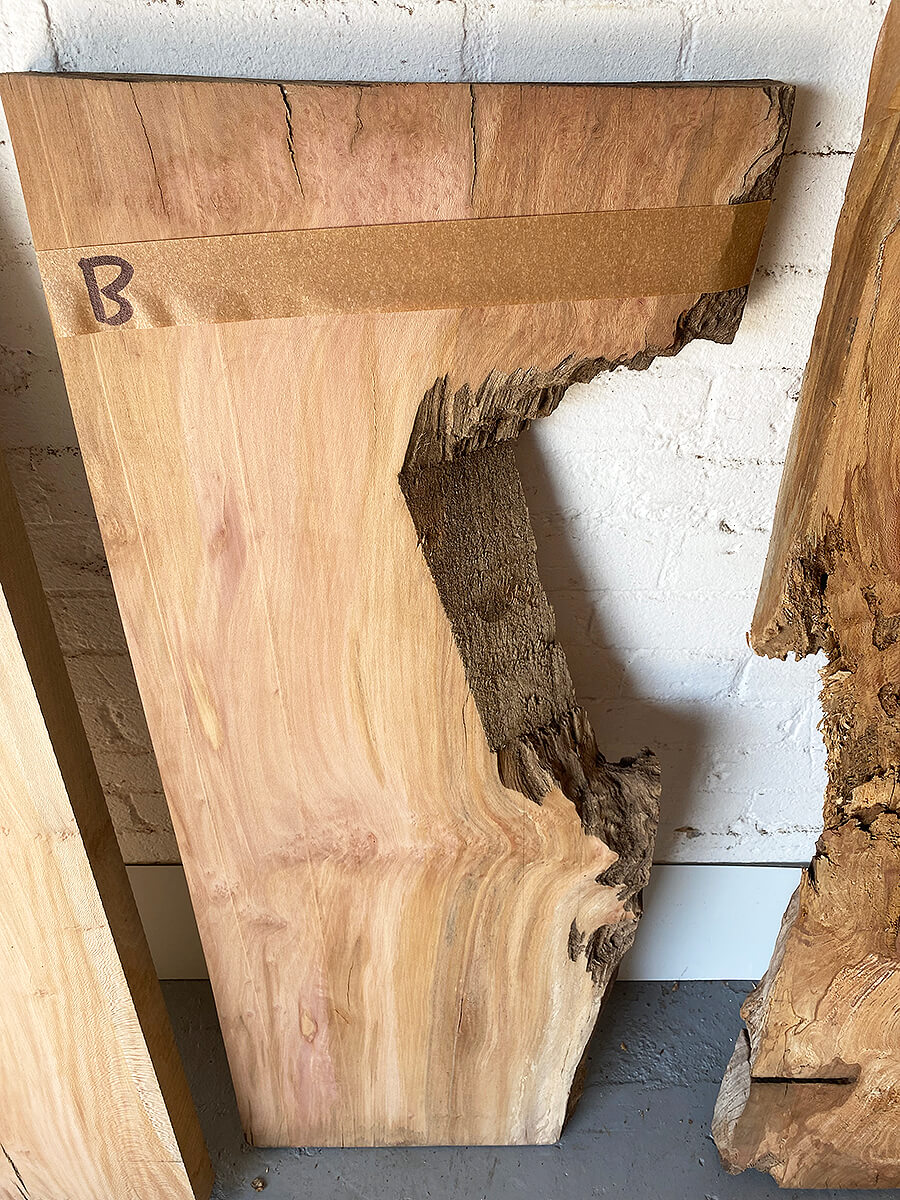 London Plane - Pippy Boards