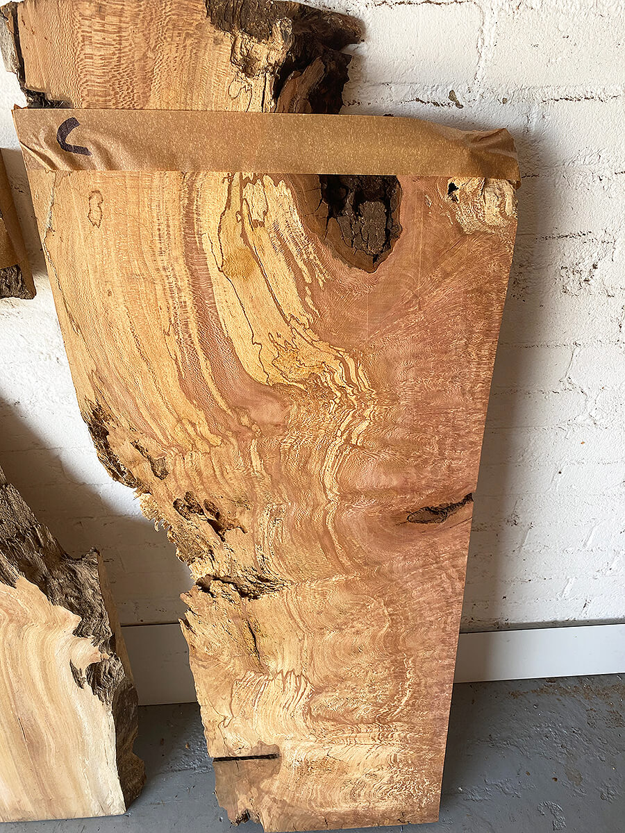 London Plane - Pippy Boards