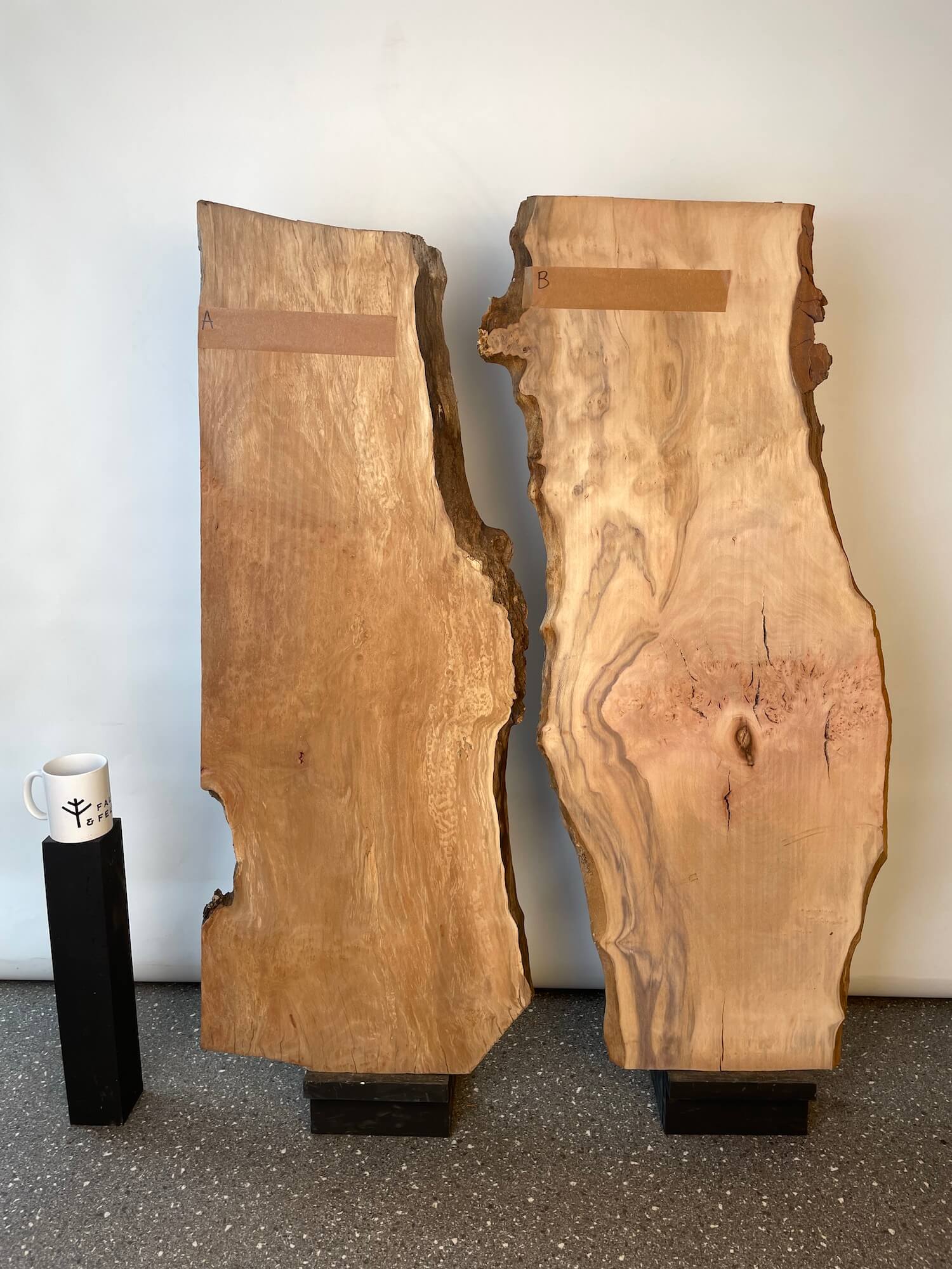 London Plane - Pippy Burr Boards