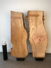 London Plane - Pippy Burr Boards