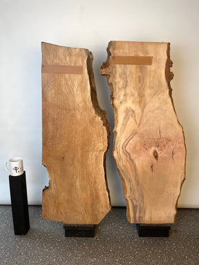 London Plane - Pippy Burr Boards