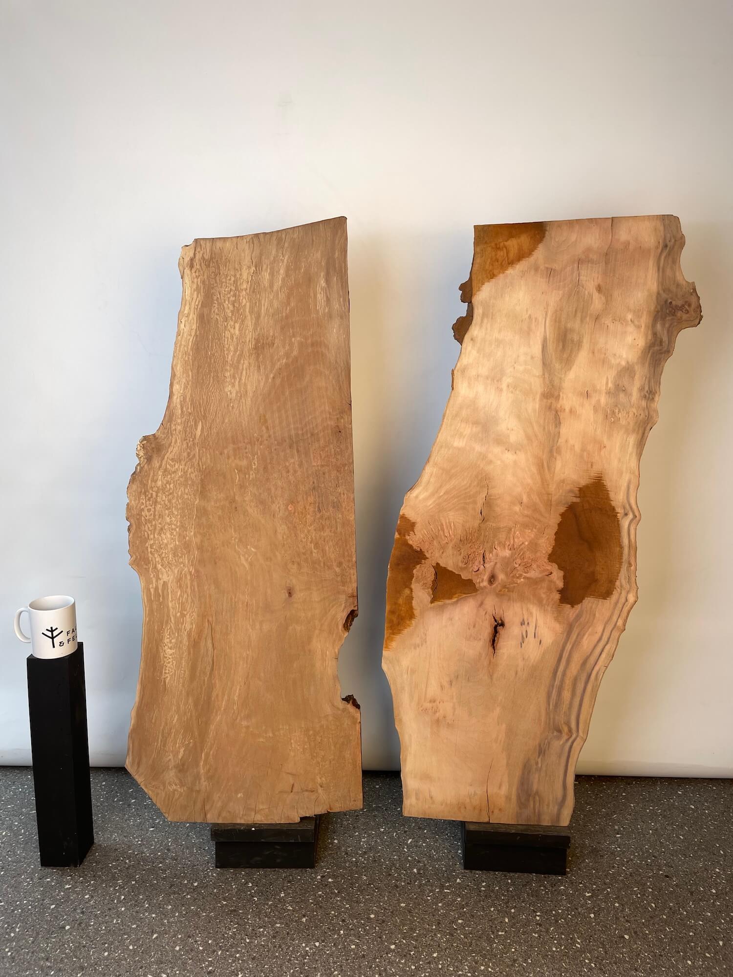 London Plane - Pippy Burr Boards