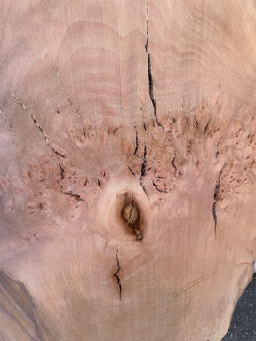 London Plane - Pippy Burr Boards