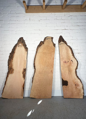 London Plane - Pippy Burr Boards