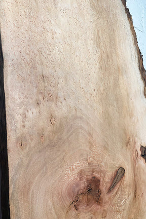 London Plane - Pippy Burr Boards