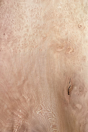 London Plane - Pippy Burr Boards