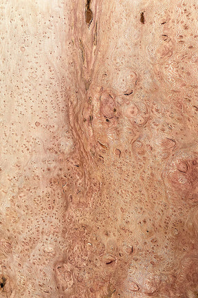 London Plane - Pippy Burr Boards