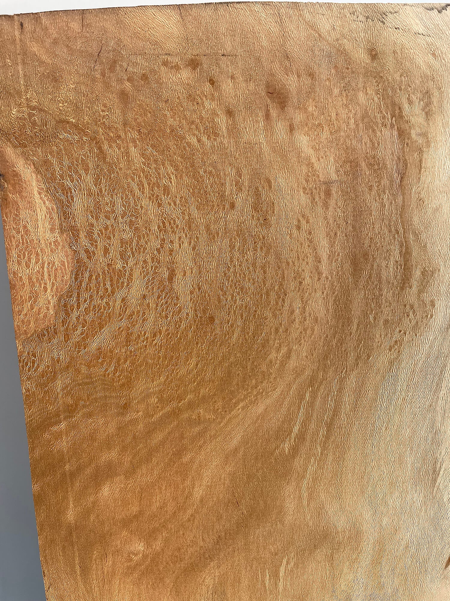 London Plane - Pippy Lace Boards