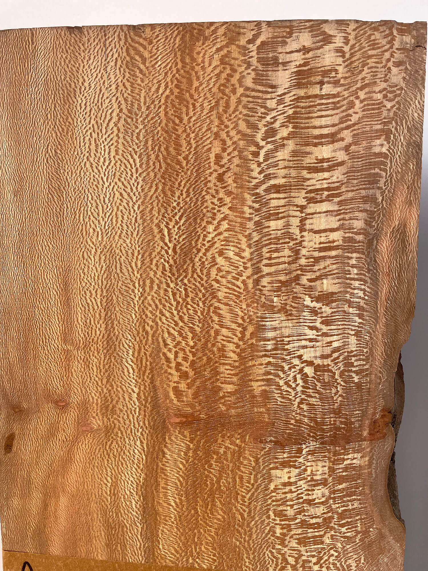 London Plane - Pippy Lace Boards