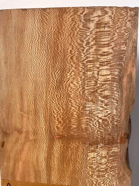 London Plane - Pippy Lace Boards