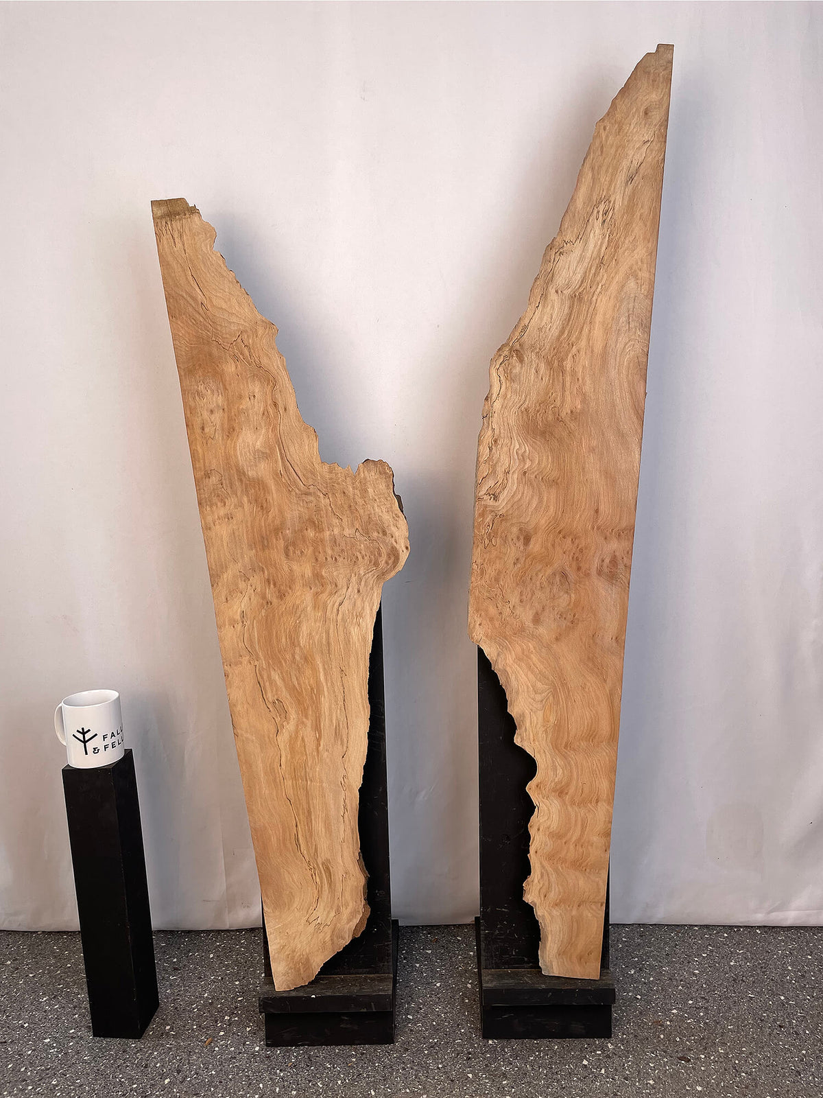 London Plane - Rustic Character Boards