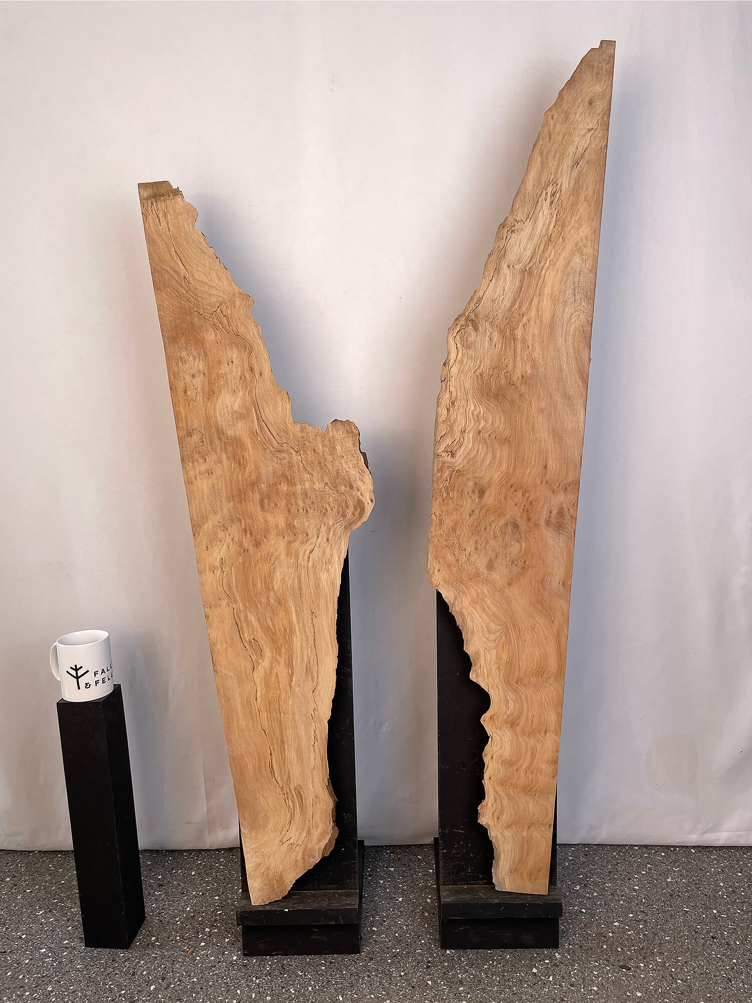 London Plane - Rustic Character Boards