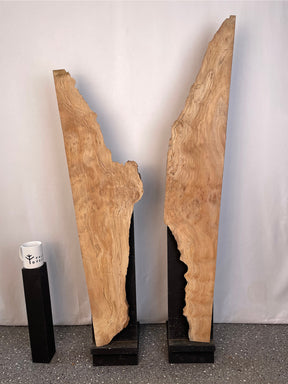 London Plane - Rustic Character Boards