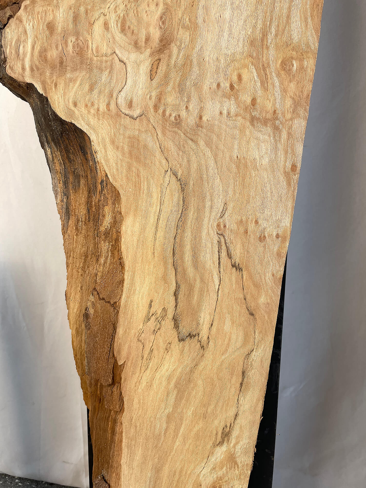 London Plane - Rustic Character Boards