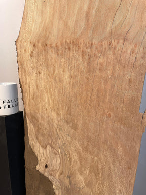London Plane - Spalted Boards