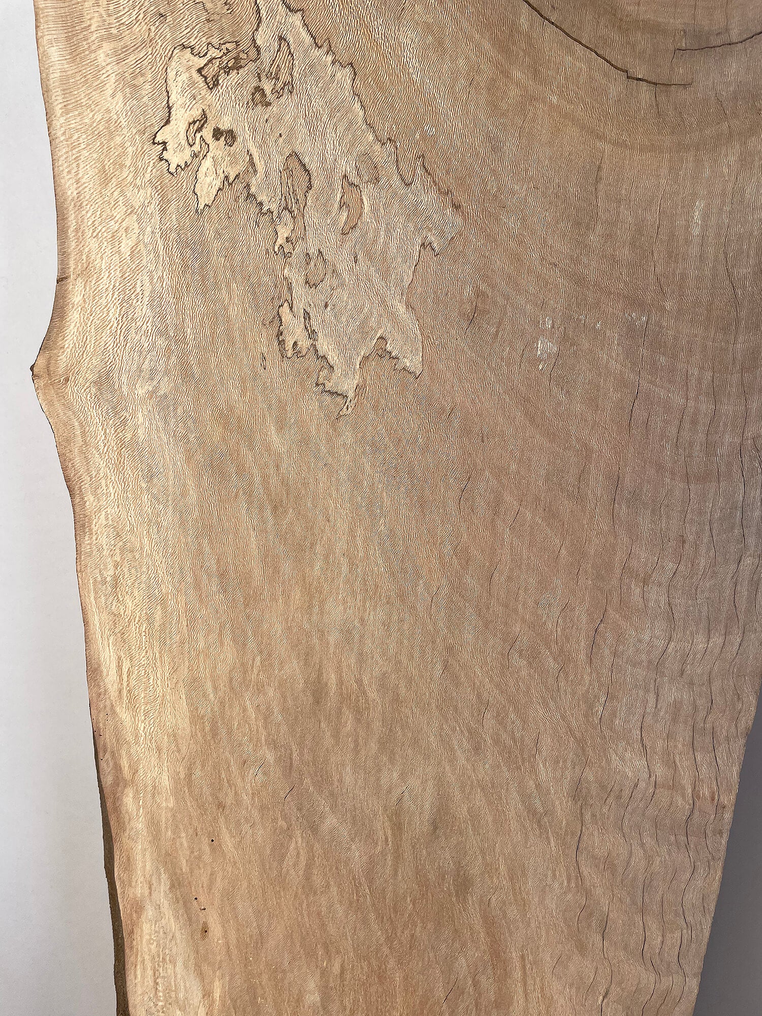London Plane - Spalted Boards
