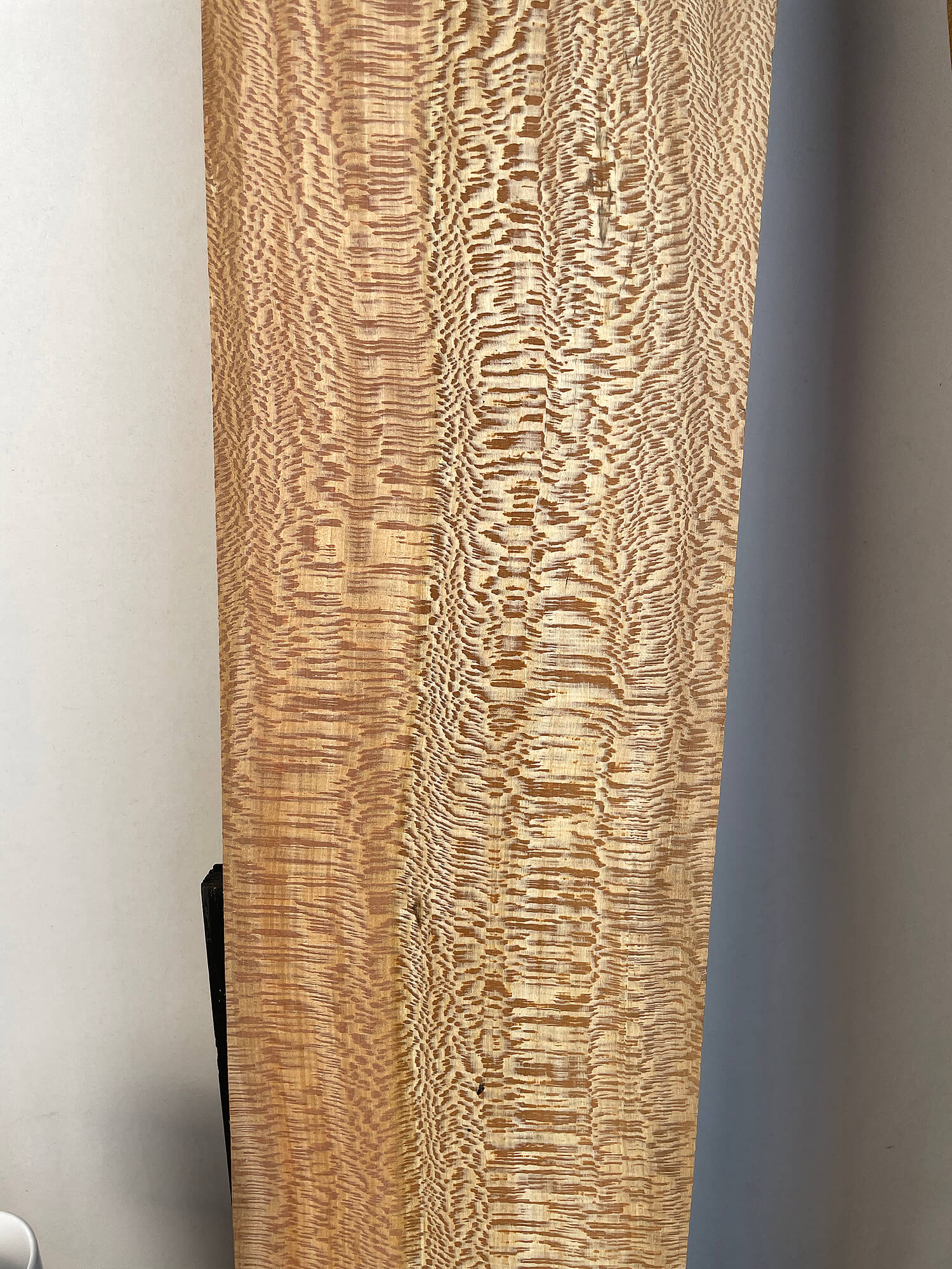 London Plane - Spalted Boards