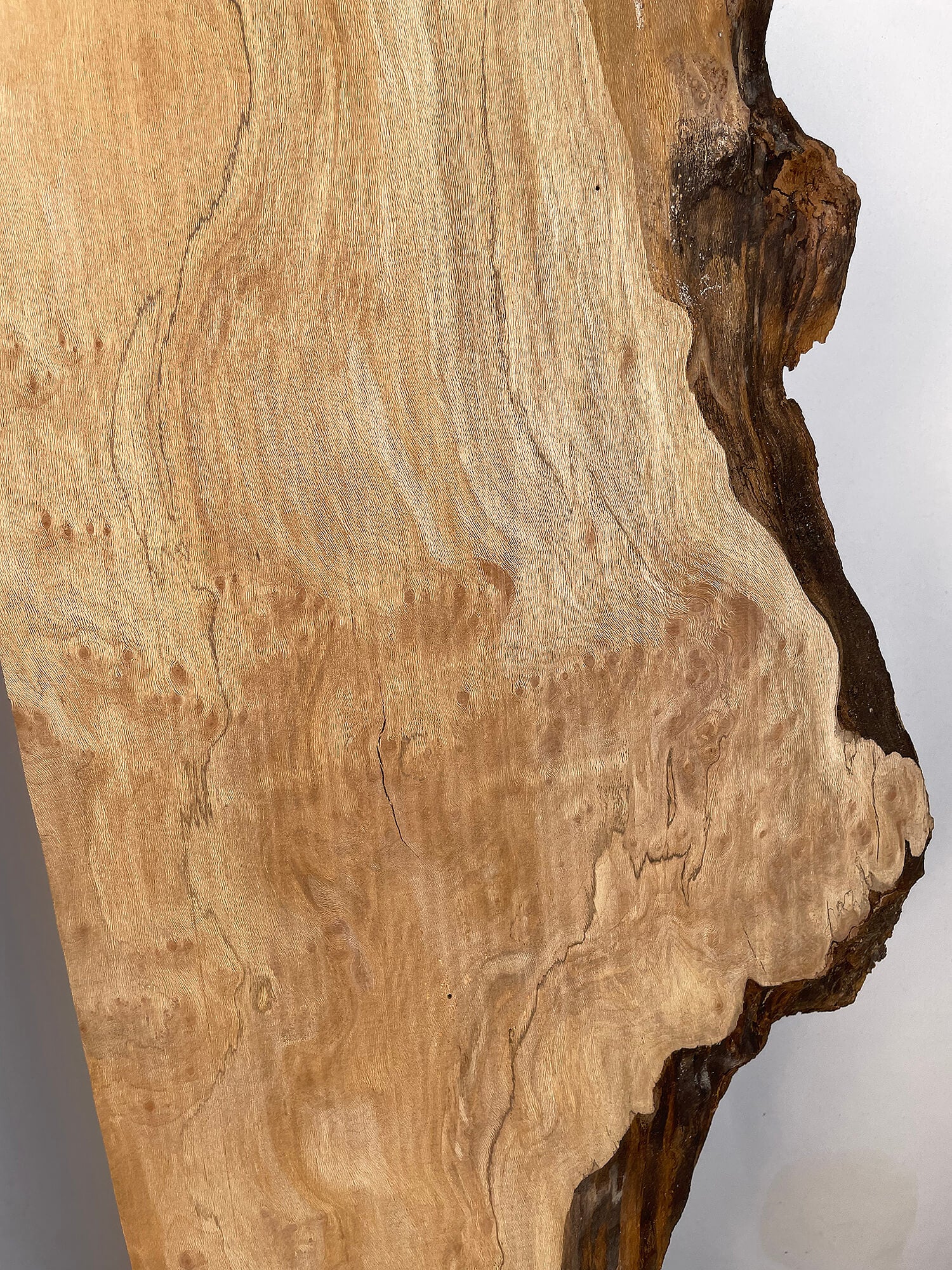 London Plane - Spalted Boards