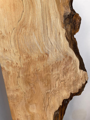 London Plane - Spalted Boards