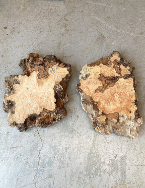 London Plane - Spalted Burr Boards