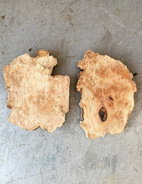 London Plane - Spalted Burr Boards