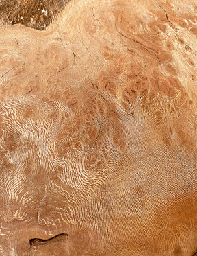 London Plane - Spalted Burr Boards