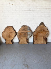 London Plane - Spalted Burr Boards