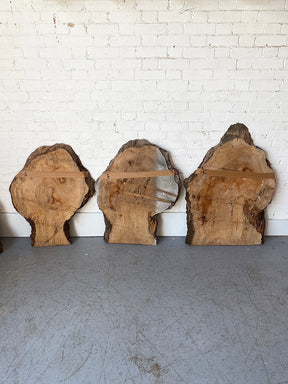London Plane - Spalted Burr Boards