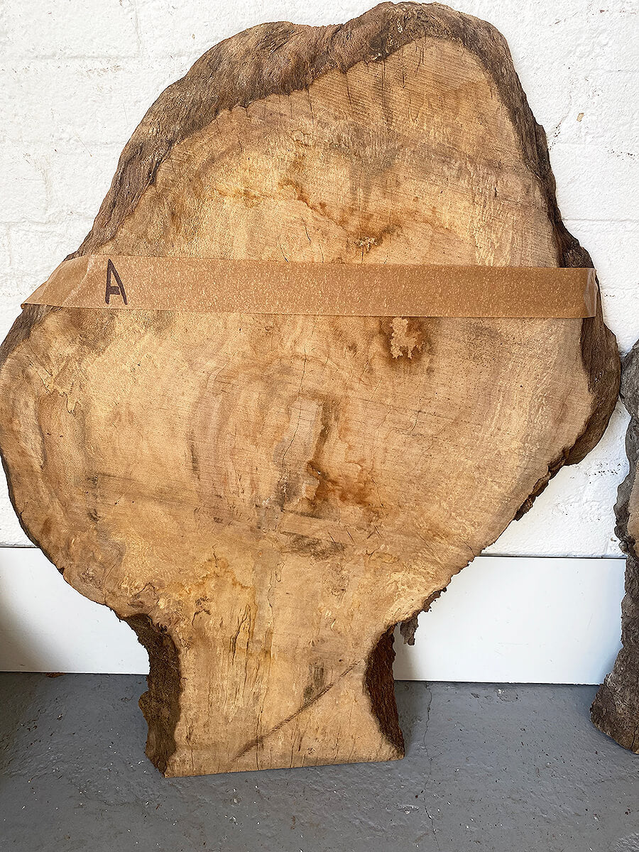 London Plane - Spalted Burr Boards