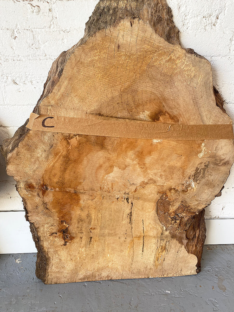 London Plane - Spalted Burr Boards