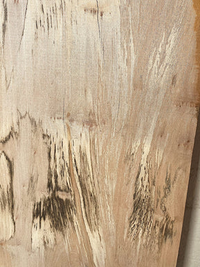 London Plane - Spalted Live Edge Boards