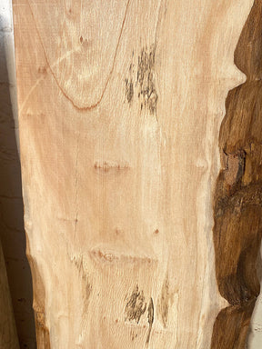 London Plane - Spalted Live Edge Boards
