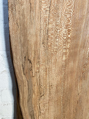 London Plane - Spalted Live Edge Boards