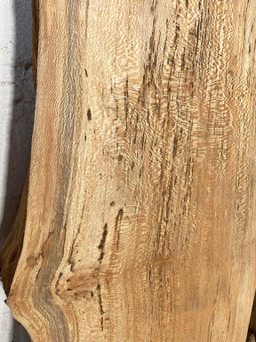 London Plane - Spalted Live Edge Boards