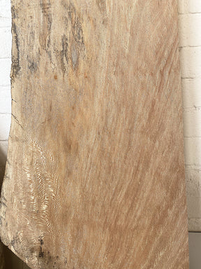 London Plane - Spalted Waney Edge Boards