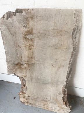 London Plane - Waney Edge Board