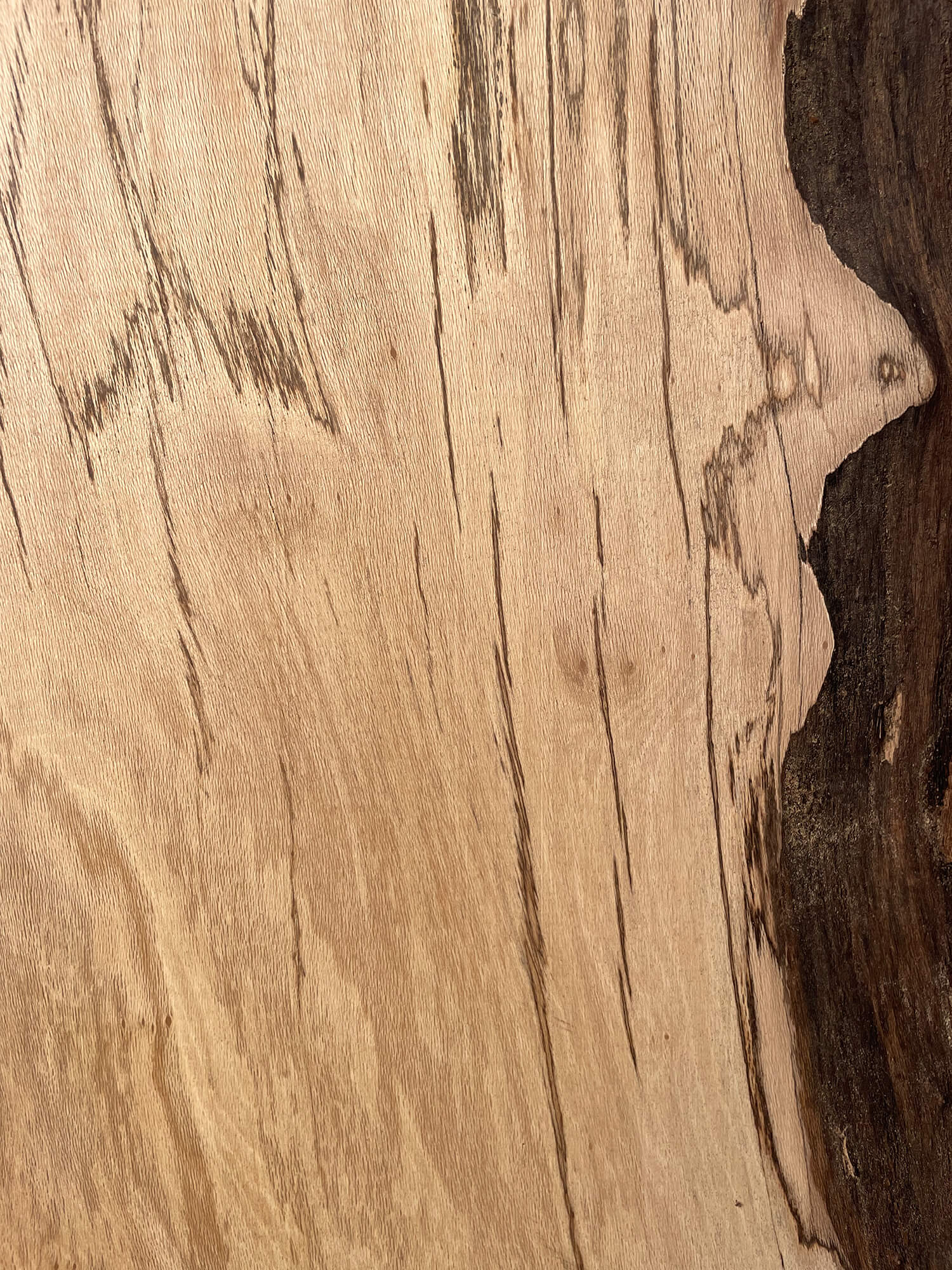 London Plane - Waney Edge Board