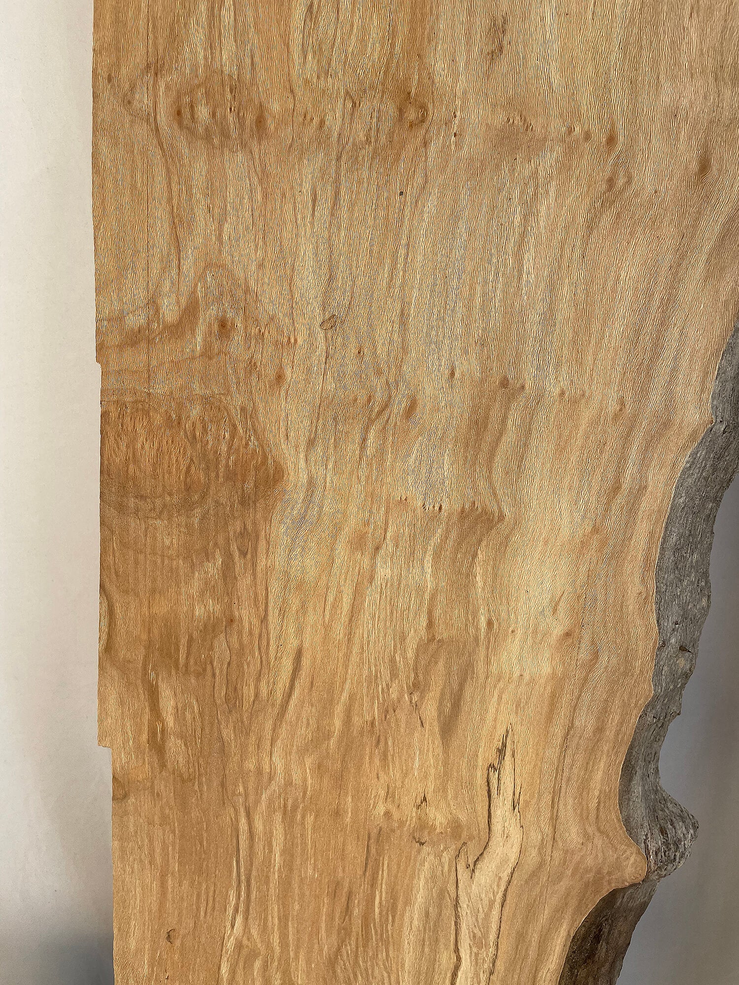 London Plane - Waney Edge Boards