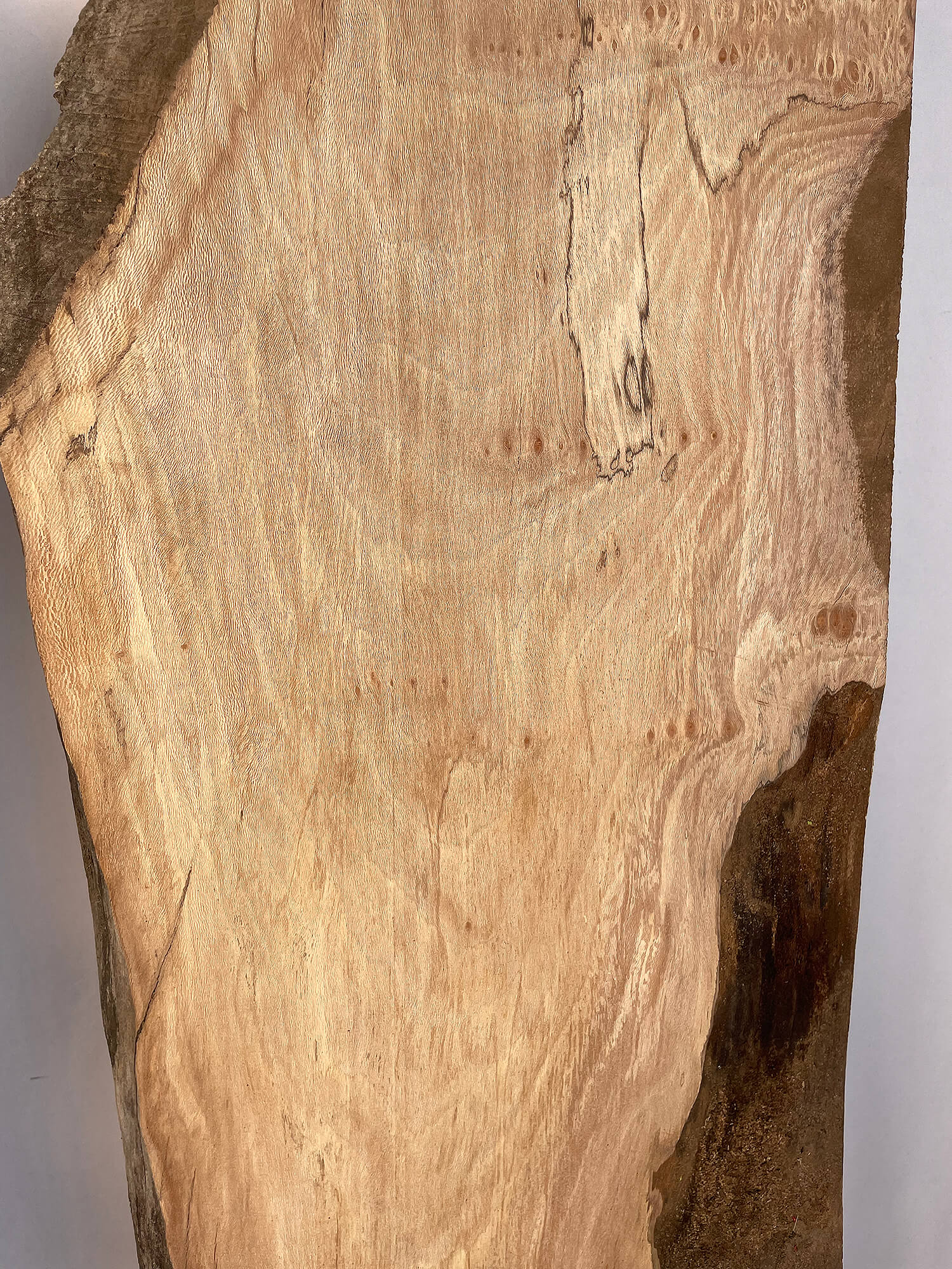 London Plane - Waney Edge Boards