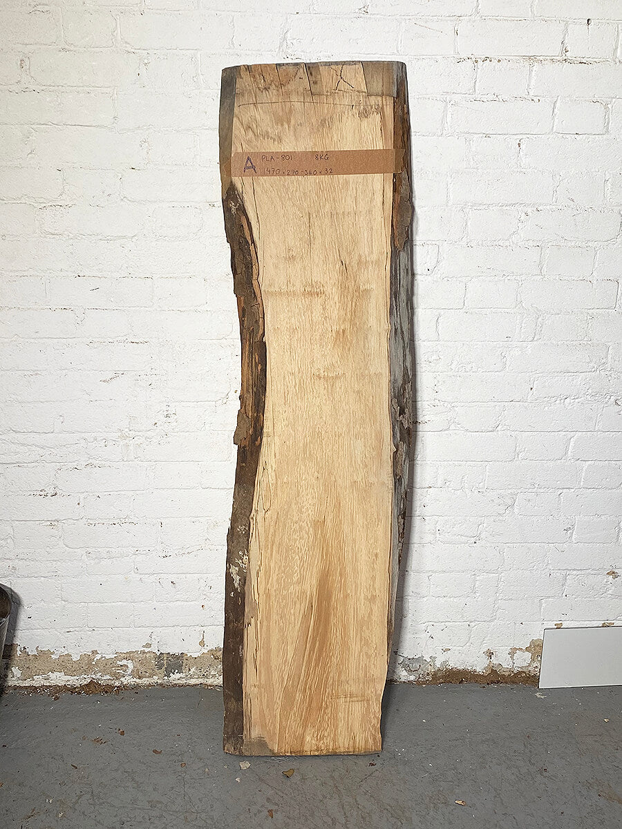 London Plane - Waney Edge Lace Board