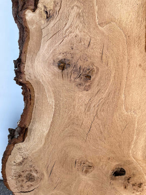 Oak - Character Burr Board