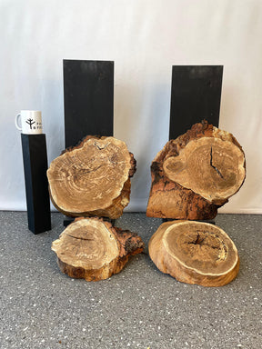 Oak - Cookies (Timber Pack)