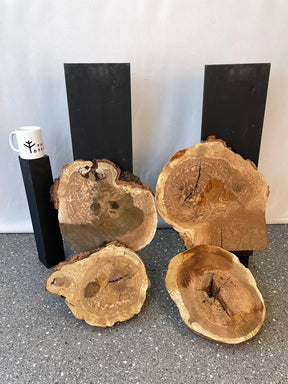 Oak - Cookies (Timber Pack)