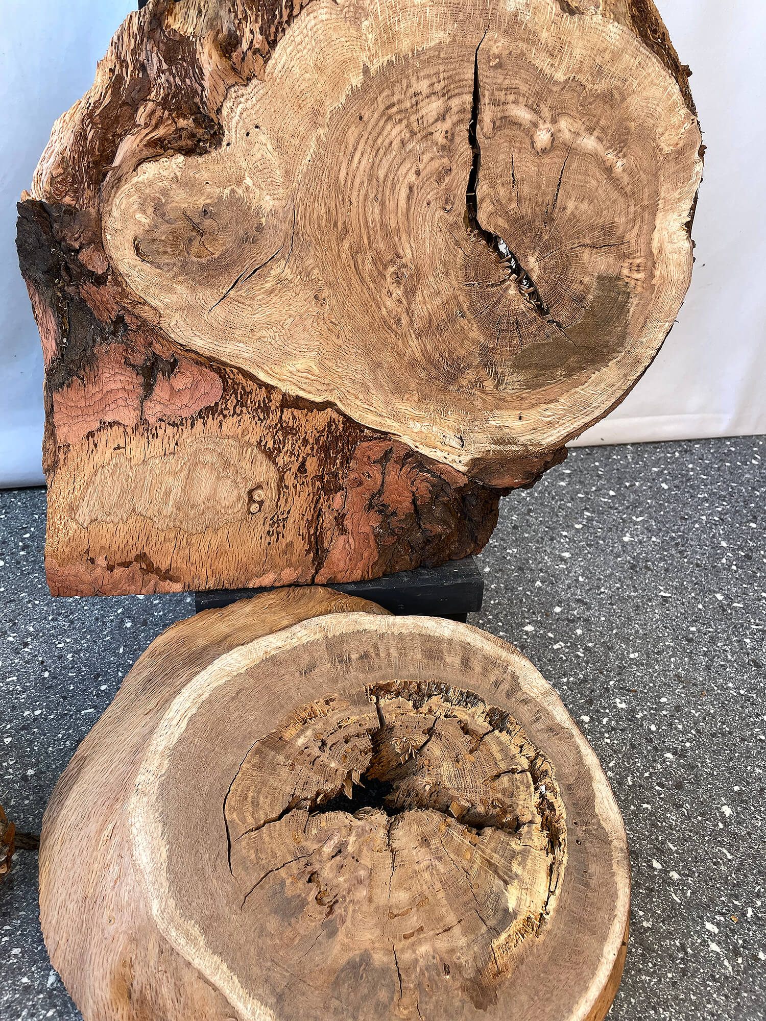 Oak - Cookies (Timber Pack)