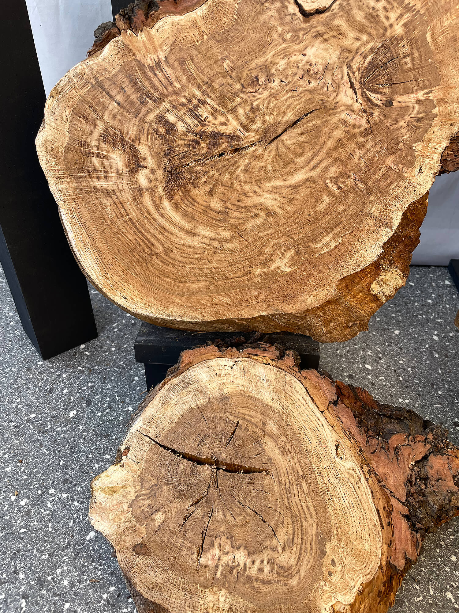 Oak - Cookies (Timber Pack)