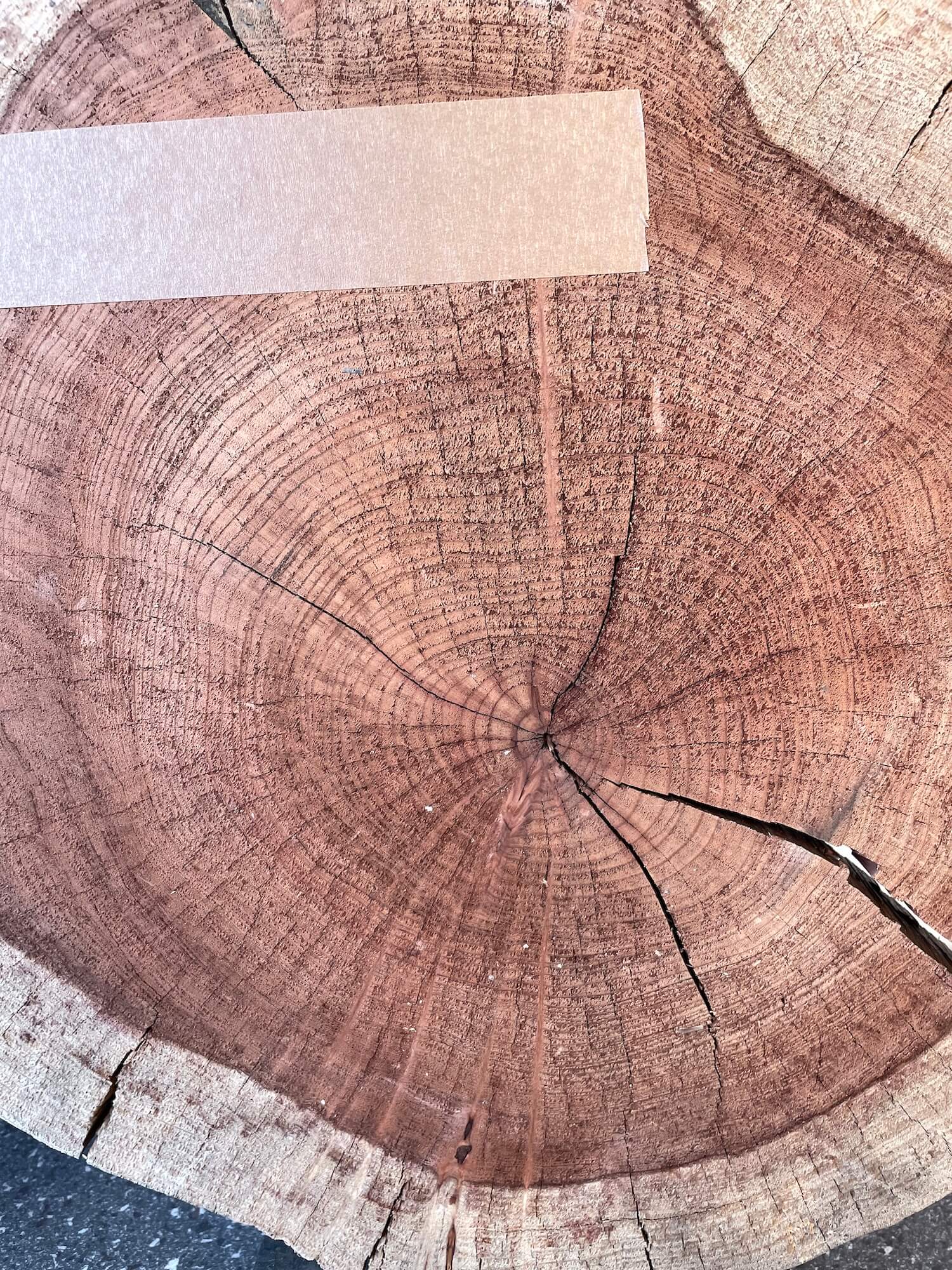 Sequoia Redwood - Board & Cookie Pair
