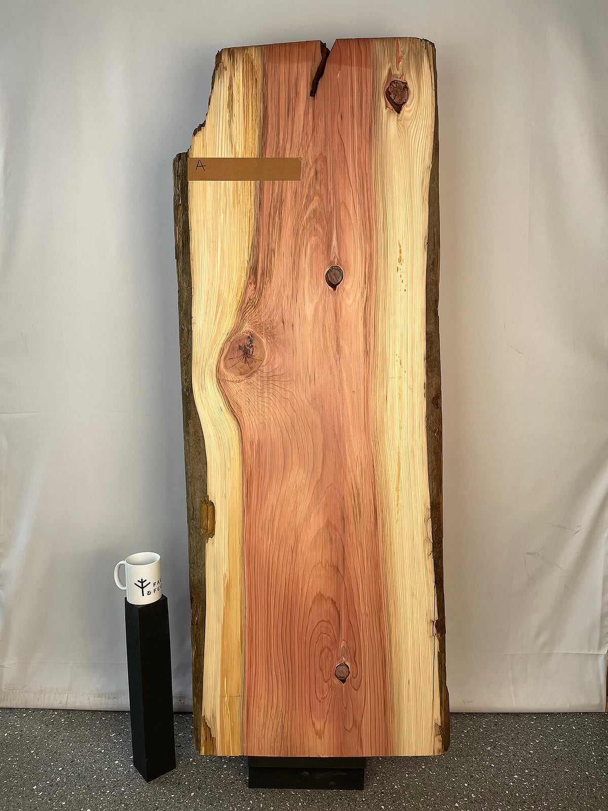 Sequoia Redwood - Character Board